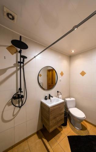 a bathroom with a toilet and a sink and a mirror at Svečių namai Banga in Paplatelė