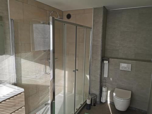 a bathroom with a shower and a toilet at Vakantiehuis H&A 4 sterren in Ypres