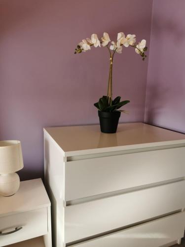 a white dresser with a plant on top of it at Vakantiehuis H&A 4 sterren in Ypres