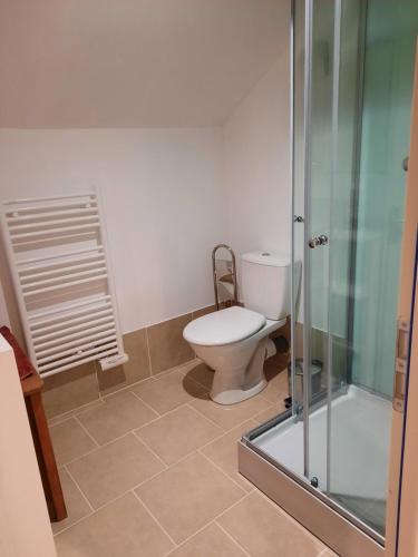 a bathroom with a toilet and a glass shower at Mill D'Arx in Château