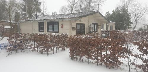 a house in the snow with bushes in front of it at Casa Ibiza is vakantie in Drenthe in Schoonebeek