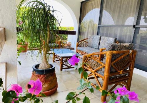 een patio met een bank en een potplant bij Casa Victoria by Dicasi Vacations in Texcalpan