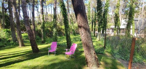 dos sillas rosas sentadas en el césped junto a un árbol en EL PINAR CASA DE PLAYA en Balneario Mar Azul