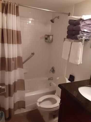 Ένα μπάνιο στο Little Harbor Resort #202 Tampa Bay FL Beach, Hot Tub, Pools
