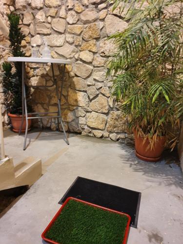 a green rug sitting in front of a stone wall at APARTHOTEL VISTA LAGO in Flores