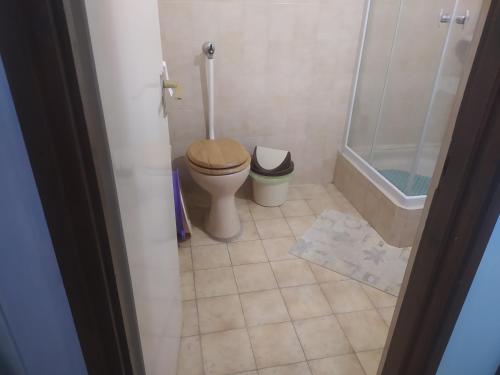 a small bathroom with a toilet and a shower at Etus Vendégház in Balatonfenyves