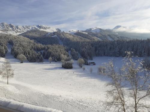 a snow covered field with trees and a mountain at Studio sur les pistes in Villard-de-Lans