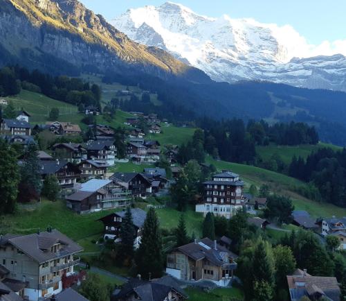 a village in a valley with mountains in the background at Hotel Regina in Wengen