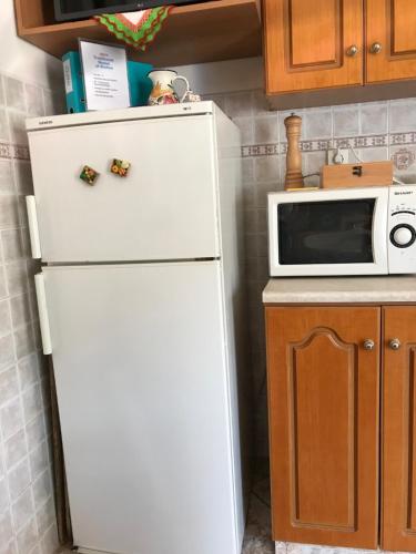a white refrigerator in a kitchen with a microwave at Traditional House of Diafani in Karpathos Town