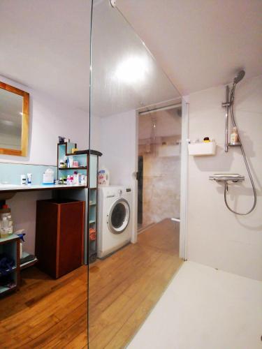 une salle de bain avec douche et machine à laver dans l'établissement La maison de Thomas, à Saint-Amant-de-Boixe