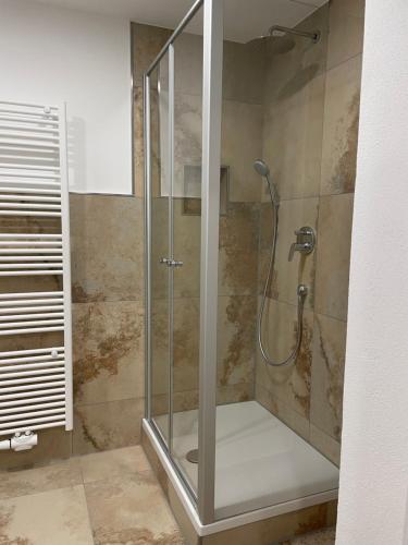 a shower with a glass door in a bathroom at Gasthaus zum Bären in Donauwörth