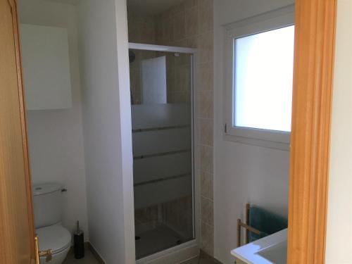 e bagno con doccia, servizi igienici e finestra. di Gîte des Landes a Blendecques