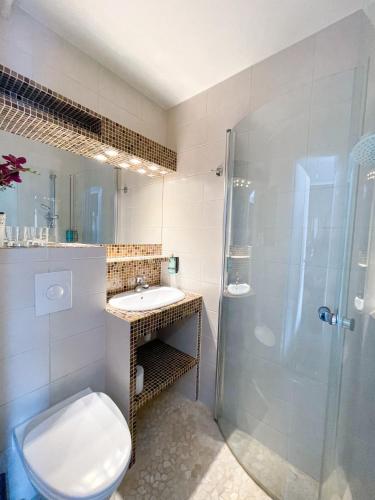 a bathroom with a shower and a toilet and a sink at Arendal Herregaard Spa & Resort in Arendal