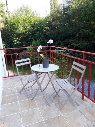 two chairs and a table with a potted plant on a patio at "Chez Naty" chambres d'hôtes au Pays-Basque in Chéraute