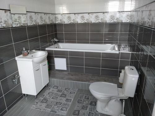 a bathroom with a toilet and a sink and a tub at Apartmány Litvínov centrum in Litvínov