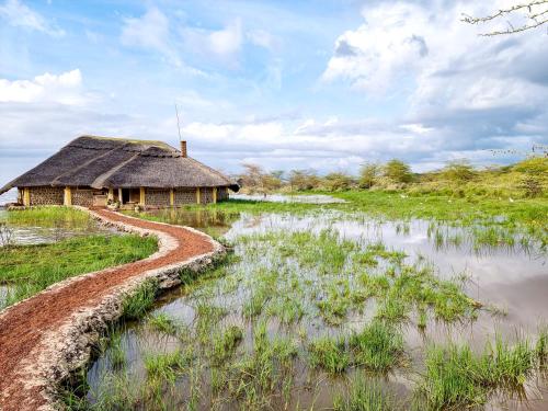 תמונה מהגלריה של Africa Safari Lake Manyara located inside a wildlife park במטו וואמבו