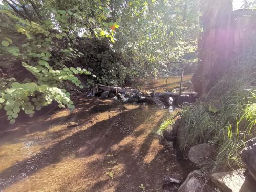 a dirt road with trees and plants on it at Вила Край реката in Botevgrad