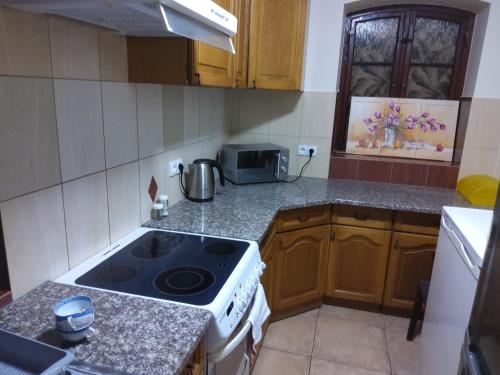 Dapur atau dapur kecil di Pokoje gościnne Sobieszow