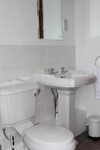 a white bathroom with a toilet and a sink at Stukeleys Hotel in Great Stukeley