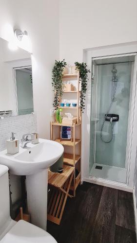 une salle de bain avec un lavabo et une douche dans l'établissement LES LICES, T2 de caractère en plein centre historique, à Vannes