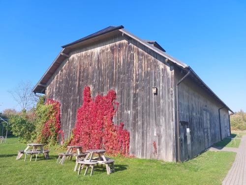 a group of picnic tables in front of a barn at Atpūtas komplekss "Ratnieki" in Ratnieki