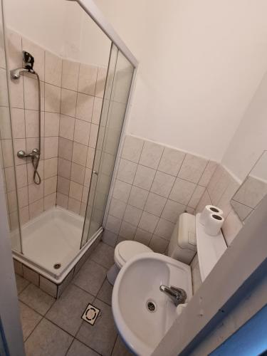 e bagno con doccia, servizi igienici e lavandino. di Rugby Club Hostel a Esztergom
