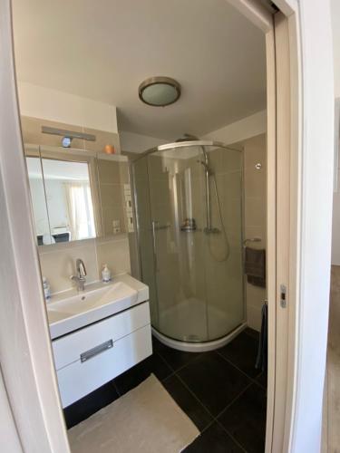 a bathroom with a shower and a sink at Au cœur de la Vieille Ville in Ajaccio