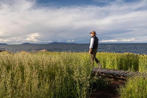 a man walking through a field of tall grass at Titilaka by Andean in Tililaca