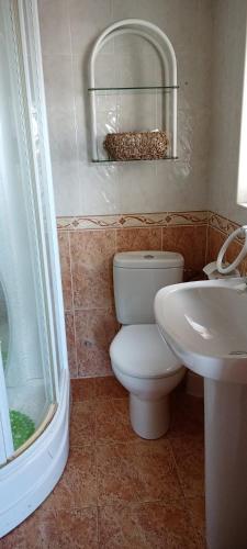 a bathroom with a toilet and a sink at EL DESVÁN in Santa Marta de Tormes