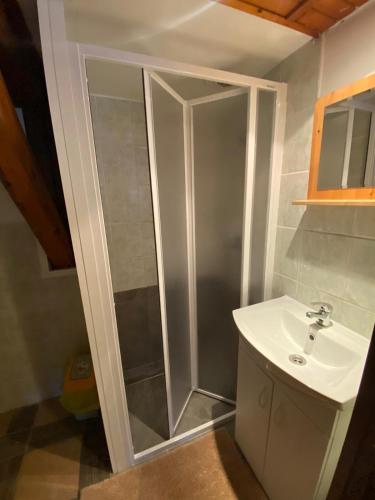a bathroom with a shower and a sink at Penzion Hubertus Doubice in Doubice