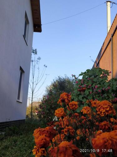 Un jardín fuera de NestG Guest House