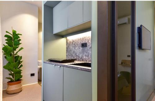 uma cozinha com armários brancos e um vaso de plantas em Appartamento Roma San Giovanni em Roma