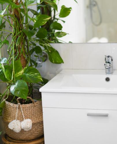ビーゴにあるHotel Celtaのバスルーム(白いシンク、鉢植えの植物2本付)