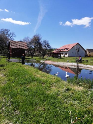 a group of people standing next to a river with swans at Pensiunea Elena in Criţ