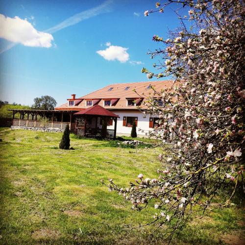 a house with a flowering tree in front of it at Pensiunea Elena in Criţ