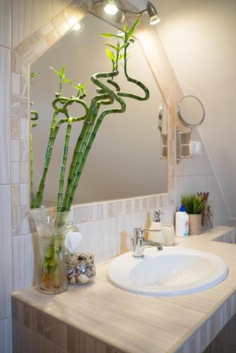 a bathroom sink with a vase with a plant at Sunny Garden in Zánka