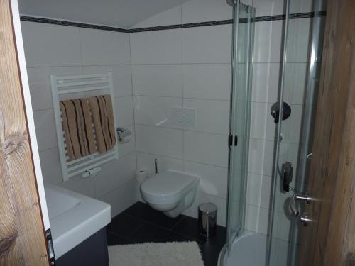 a bathroom with a toilet and a glass shower at Pension Appartments Christoph in Westendorf