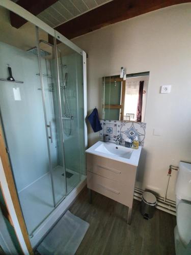 a bathroom with a glass shower and a sink at Nuits & Jours Duplex à Nuits Saint Georges in Nuits-Saint-Georges