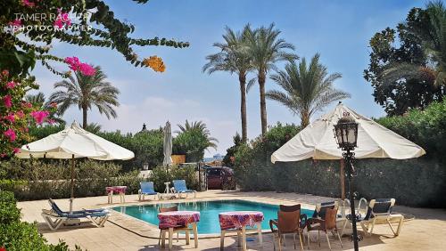 a pool with chairs and umbrellas and a table and chairs at Six Corners Resort in Abū Sulţān