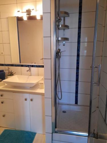 a bathroom with a shower and a sink at Appartement La Méditerranée vue sur Mer plein soleil 3 climatisations réversibles in Port-Vendres
