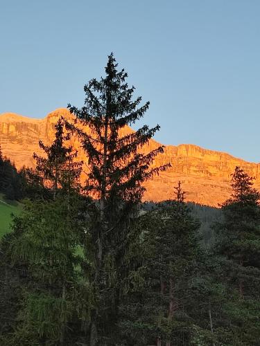 Pemandangan gunung umum atau pemandangan gunung yang diambil dari penginapan & sarapan