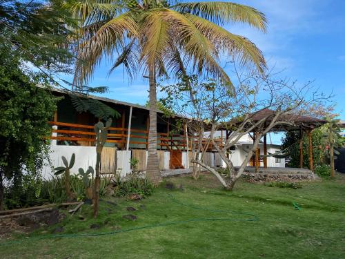 a house with a palm tree in the yard at La Peregrina Galapagos B&B in Puerto Ayora