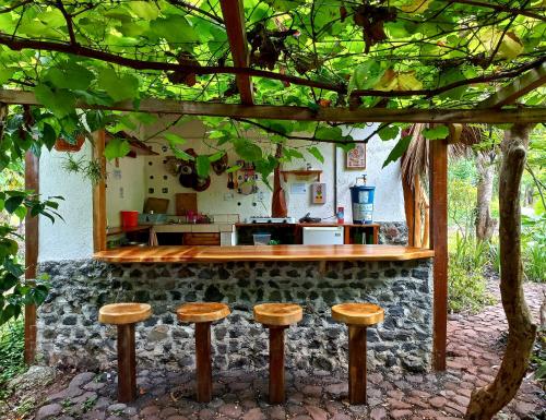 Κήπος έξω από το La Urraca Loca Hostel