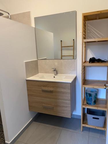 a bathroom with a sink and a mirror at Plein Vent in Petit-Bourg