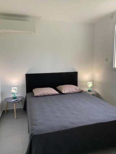 a bedroom with a black bed with two pink pillows at Plein Vent in Petit-Bourg