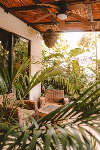 Κήπος έξω από το Trece Lunas Tulum - Enchanted Resort