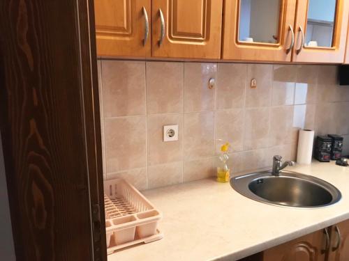 a kitchen counter top with a sink and a sink at Apartman Roses in Lukavica