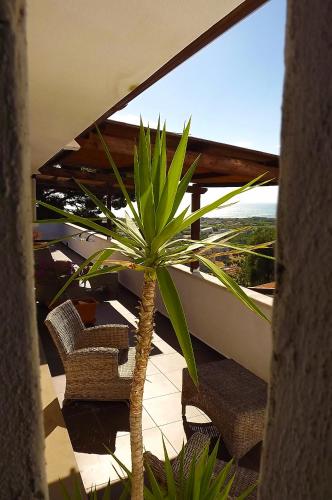 Χώρος καθιστικού στο Residenza Collina Dei Pini