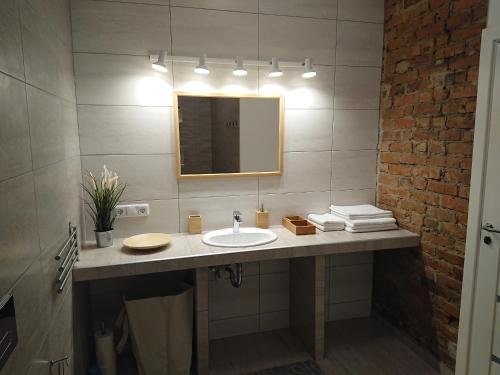 a bathroom with a sink and a mirror at Miško Apartments in Šilutė