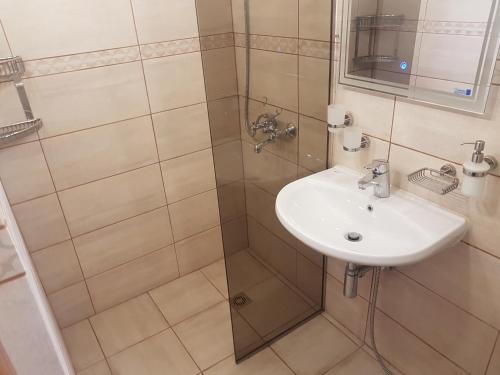a bathroom with a sink and a shower at Дургунската къща -Durgunskata kashta in Stolat
